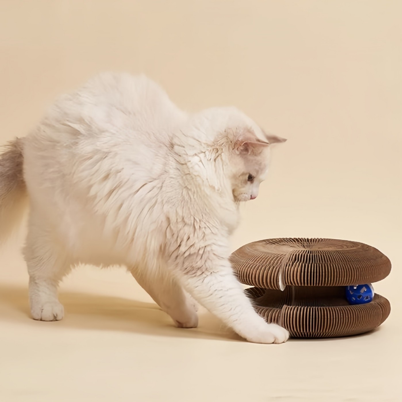 Magic Organ Cat Scratching Board: Durable and Durable, Ushering in a New Era of Premium Play