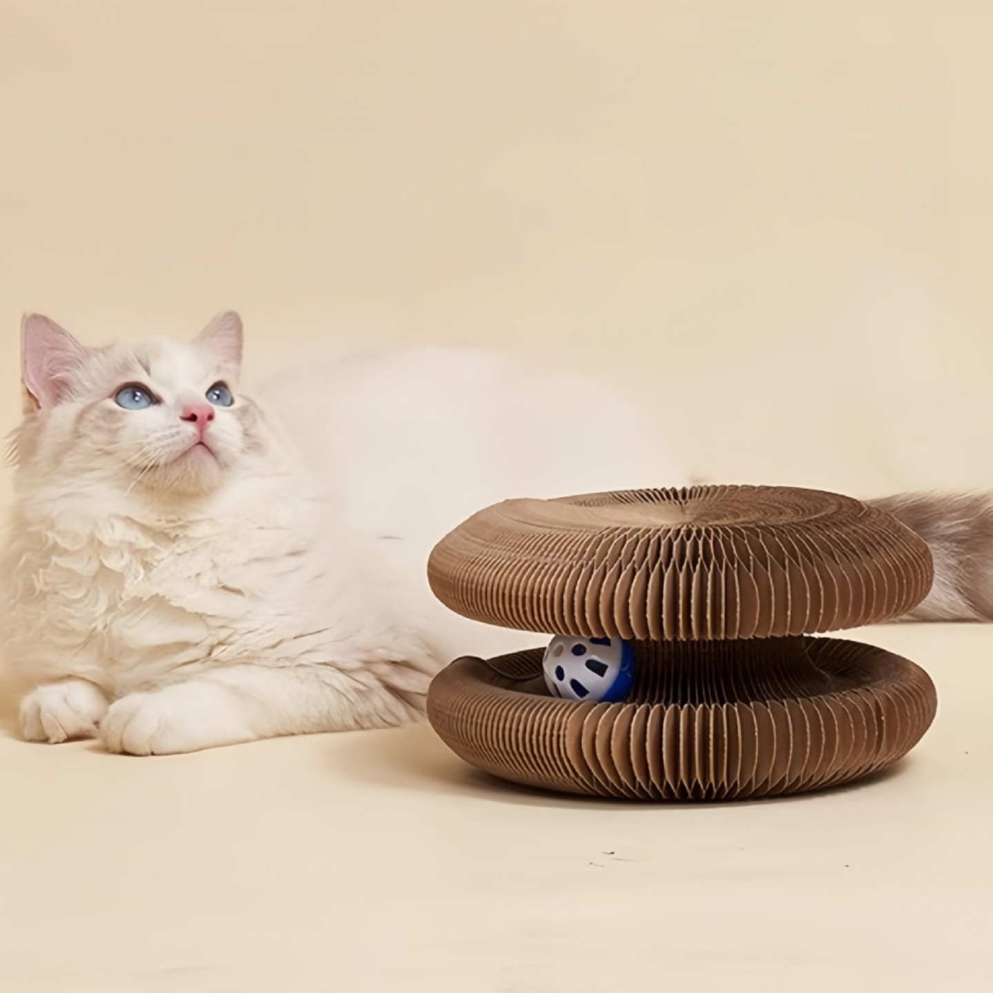 Magic Organ Cat Scratching Board: Durable and Durable, Ushering in a New Era of Premium Play