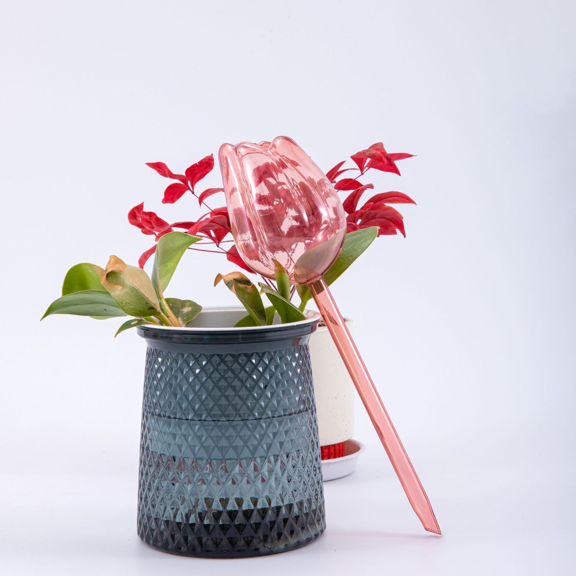 BloomCare: Where Precision Meets Petal Perfection