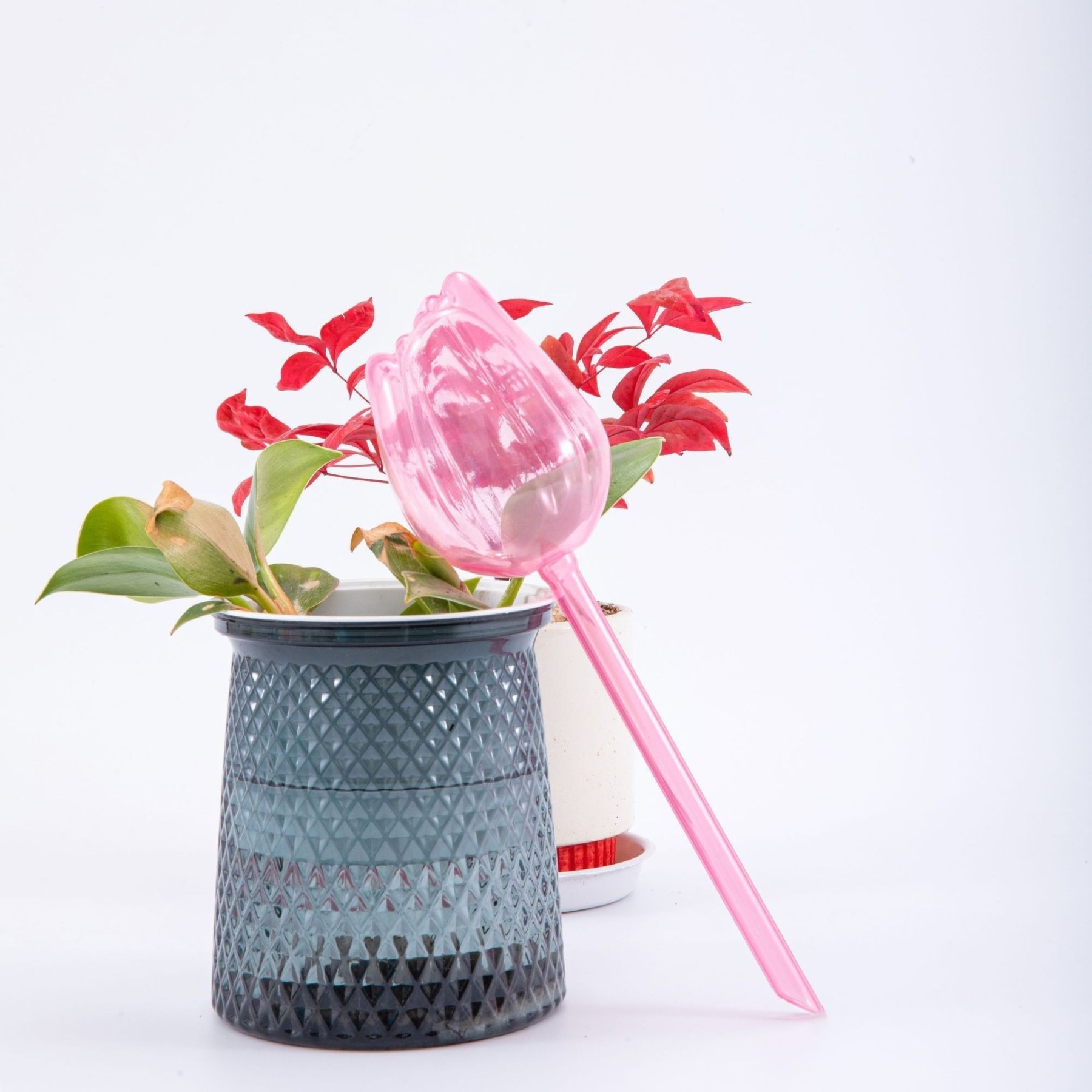 BloomCare: Where Precision Meets Petal Perfection