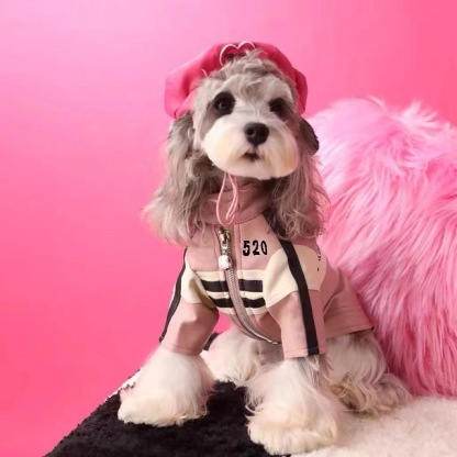 Pet Motorcycle-Style Warm Leather Jacket: Textured Cut, Warm Protection