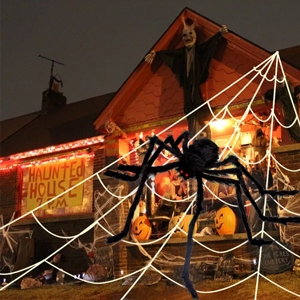 halloween spider web