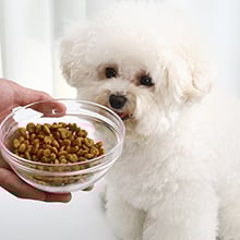 wireless Rechargeable Pet Nail Clipper