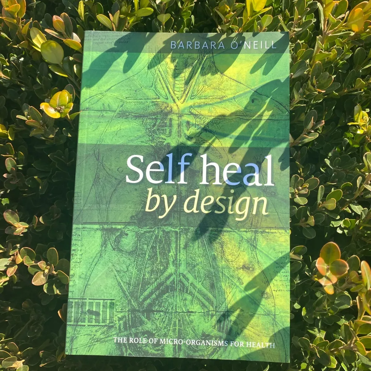 Self Heal By Design - By Barbara O'Neill: The Role Of Micro-Organisms For Health