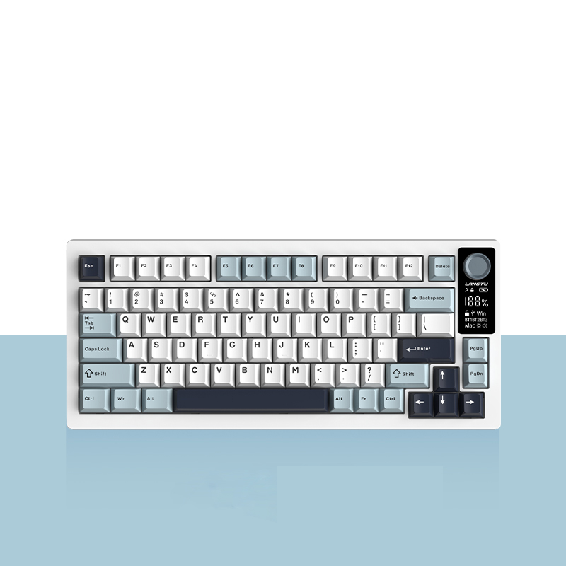 Mechanical Keyboard Gaming Keyboard 65 95