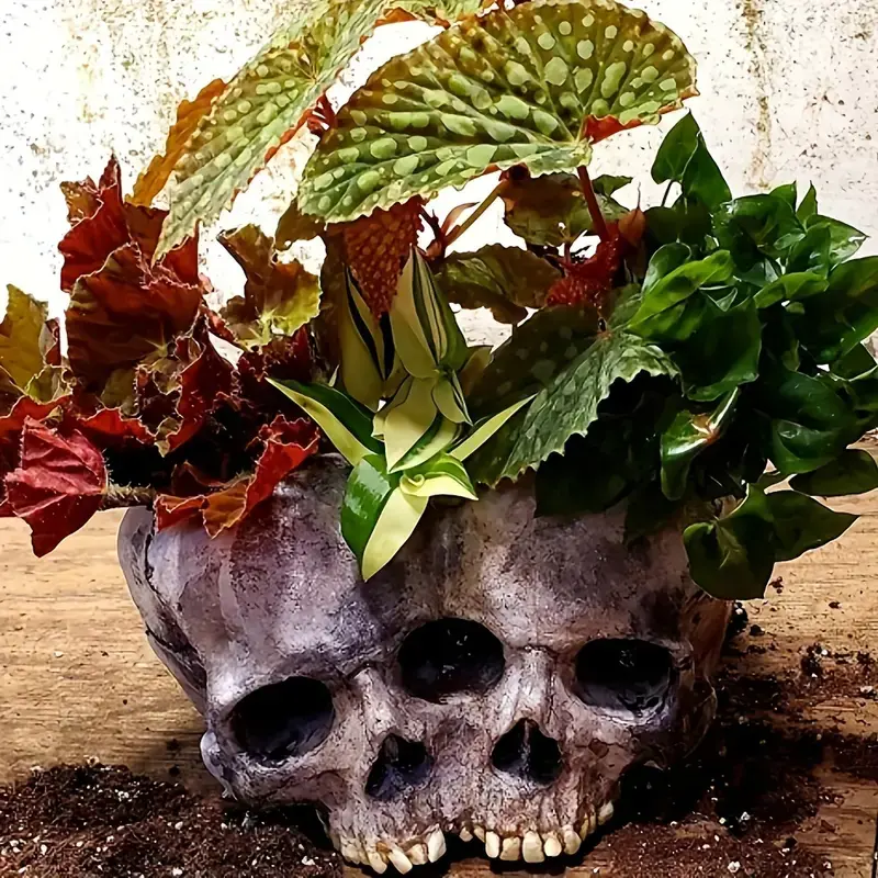 💀Resin Skull Planter, Halloween Decoration Gothic  Head Flower  Pot Carved，1 set🎃