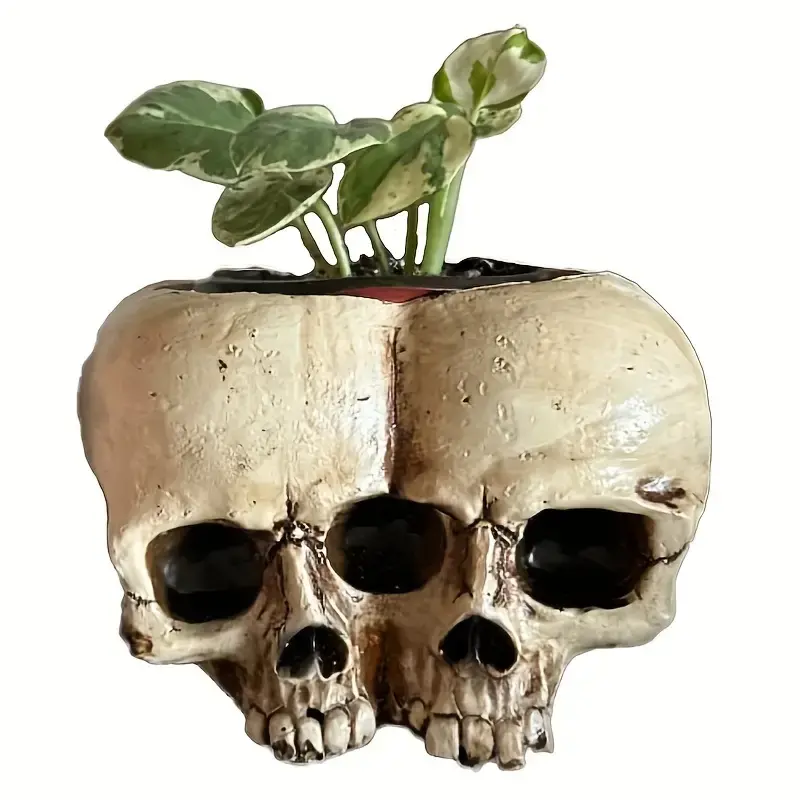 💀Resin Skull Planter, Halloween Decoration Gothic  Head Flower  Pot Carved，1 set🎃
