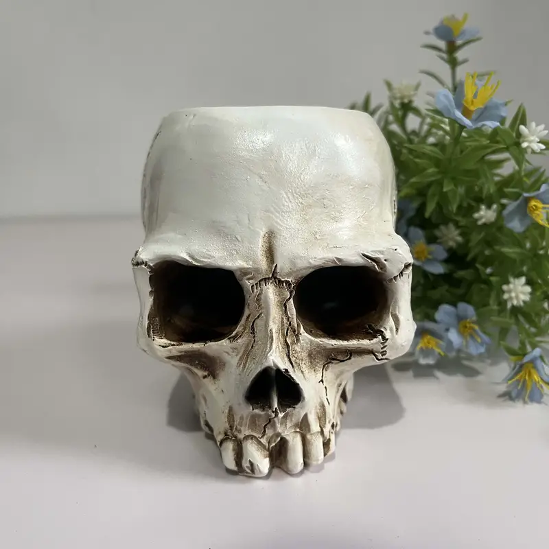💀Resin Skull Planter, Halloween Decoration Gothic  Head Flower  Pot Carved，1 set🎃