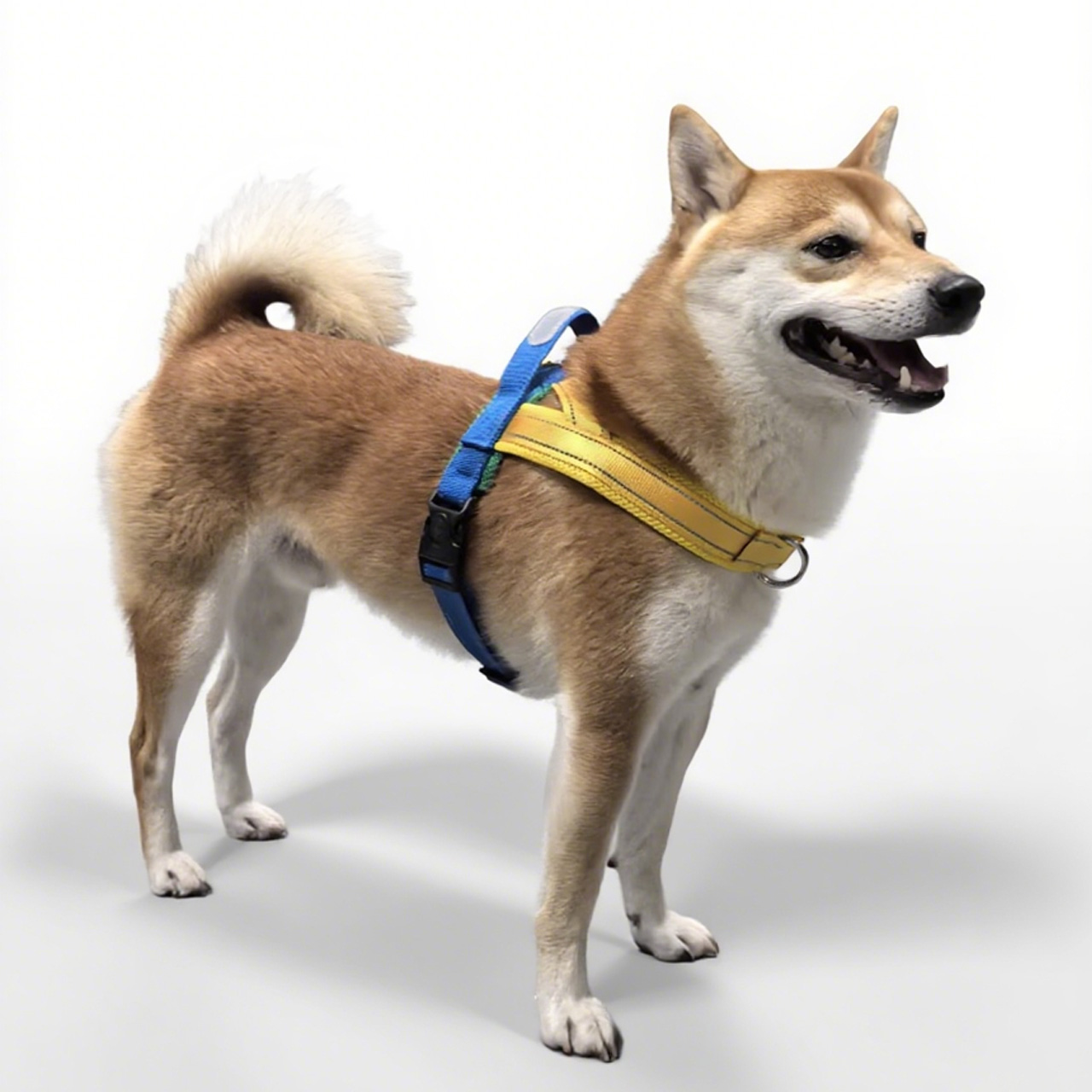 360 犬用 Y字型ハーネス