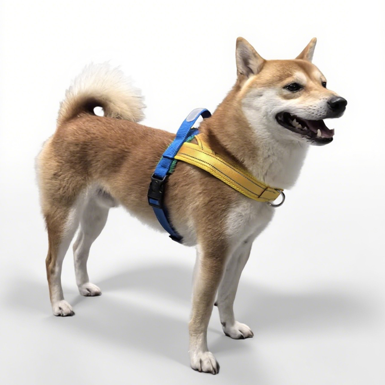 360 犬用 Y字型ハーネス