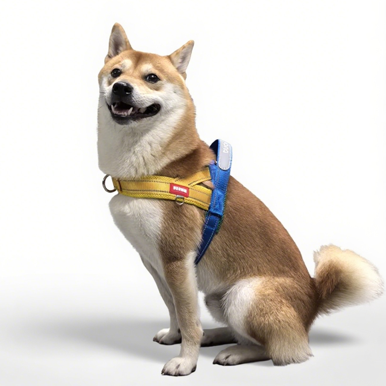 360 犬用 Y字型ハーネス