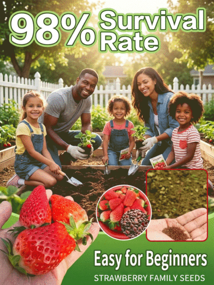 🍓Potted Strawberry Seedlings - Sweet, Juicy, and Nutritious🍃 Helps Lower Blood Sugar✅ Free Trial - Full Refund if Unsatisfied🎁