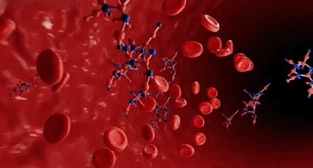 Honeycam 2026-06-03 16-10-58.gif