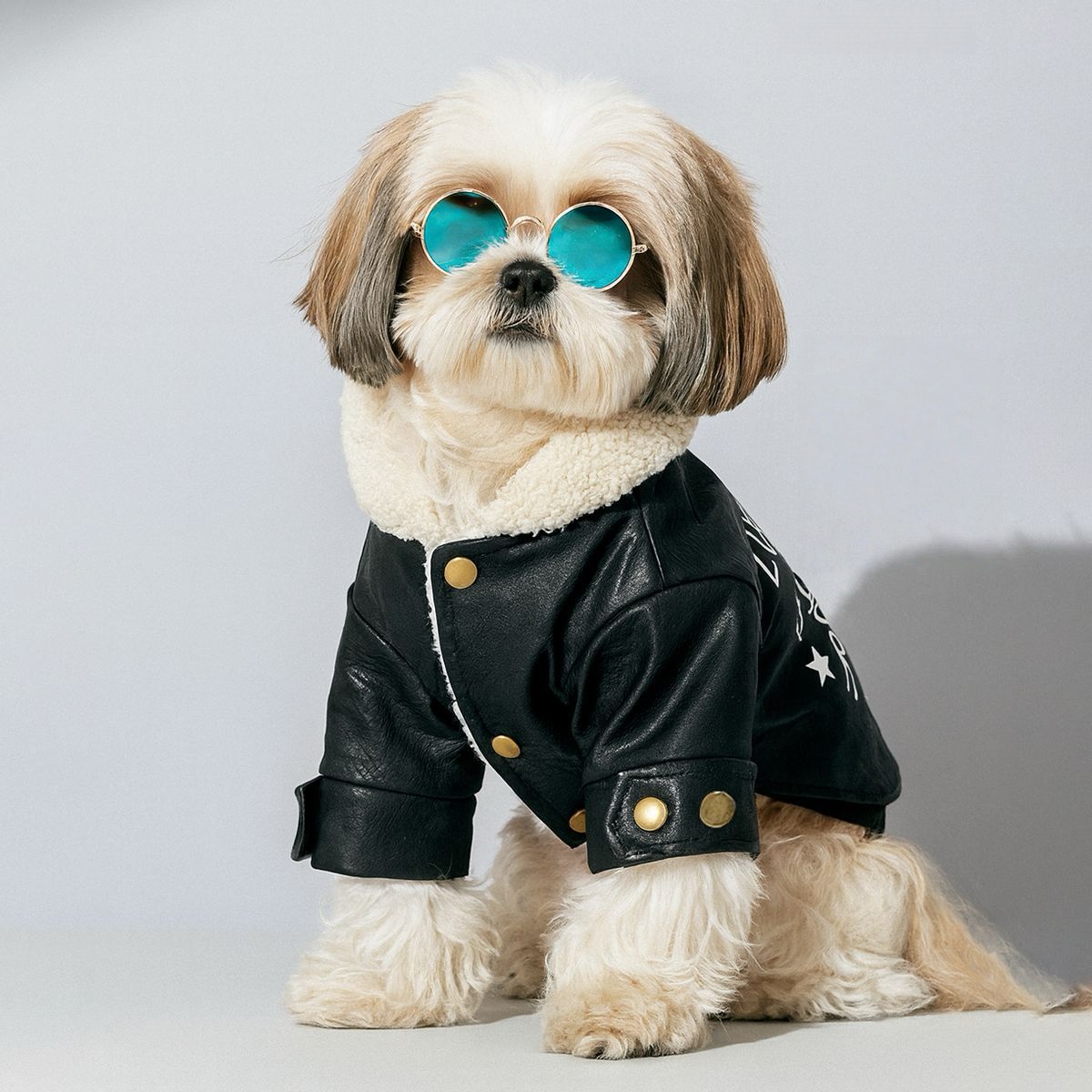 Stylish Pet Leather Coat: Fall/Winter Thickened Fleece-Lined Design, Warm Windproof Wear for Pets