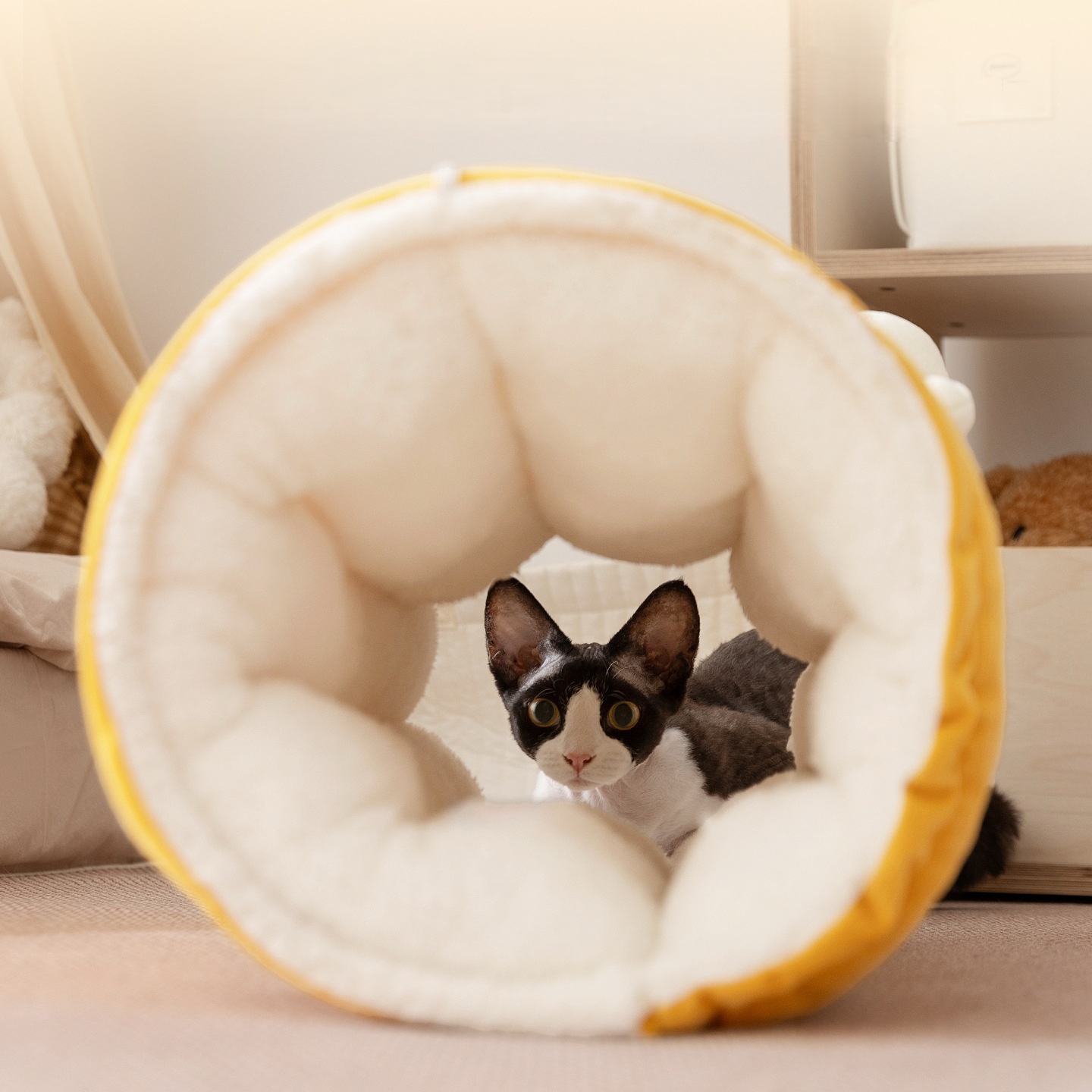 Cozy Pet Tunnel Bed - Thickened 2-in-1 Play & Sleep Cushion, Cartoon Big-Eye for Cold Seasons