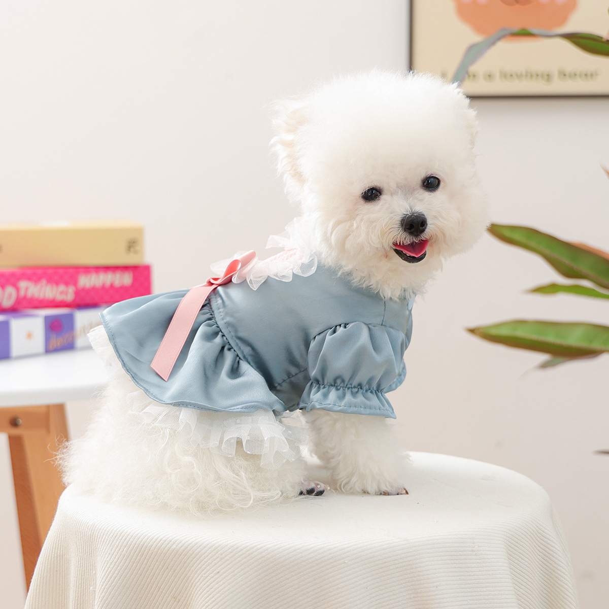 Bellepaw Pet Dusty Blue Sweetheart Lace Dress