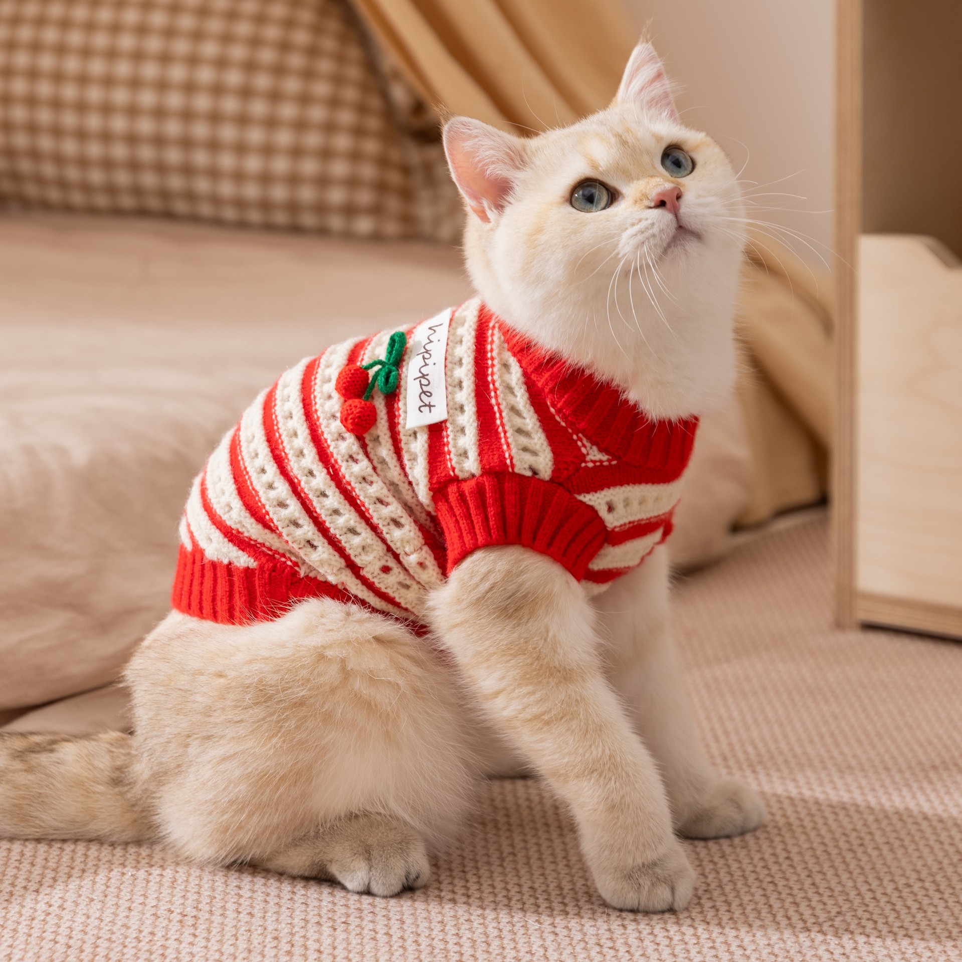 Red Cherry Knitted Sweater - Thickened Warm Two-Legged Pet Clothing for Kittens & Small Cats (Spring & Autumn)-BELLEPAW