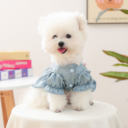 Bellepaw Pet Dusty Blue Sweetheart Lace Dress