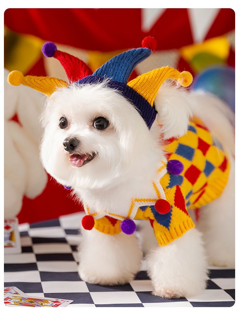 Bellepaw Small Dog Clown Knit Set – Multi-Color Pom Pom Hat & Sweater Outfit f