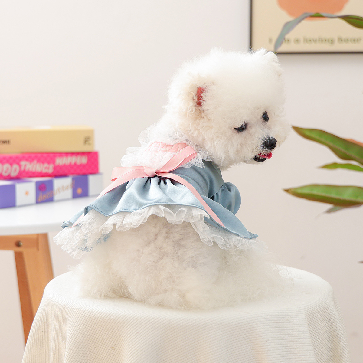 Bellepaw Pet Dusty Blue Sweetheart Lace Dress