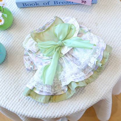 Bellepaw Pet Wizard of Oz Enchanted Dress