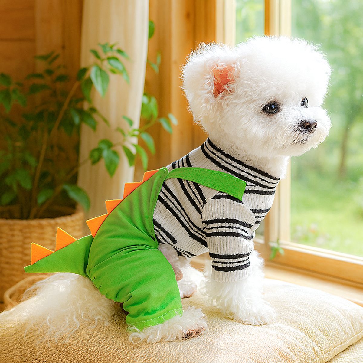 Black Dinosaur Pet Overalls