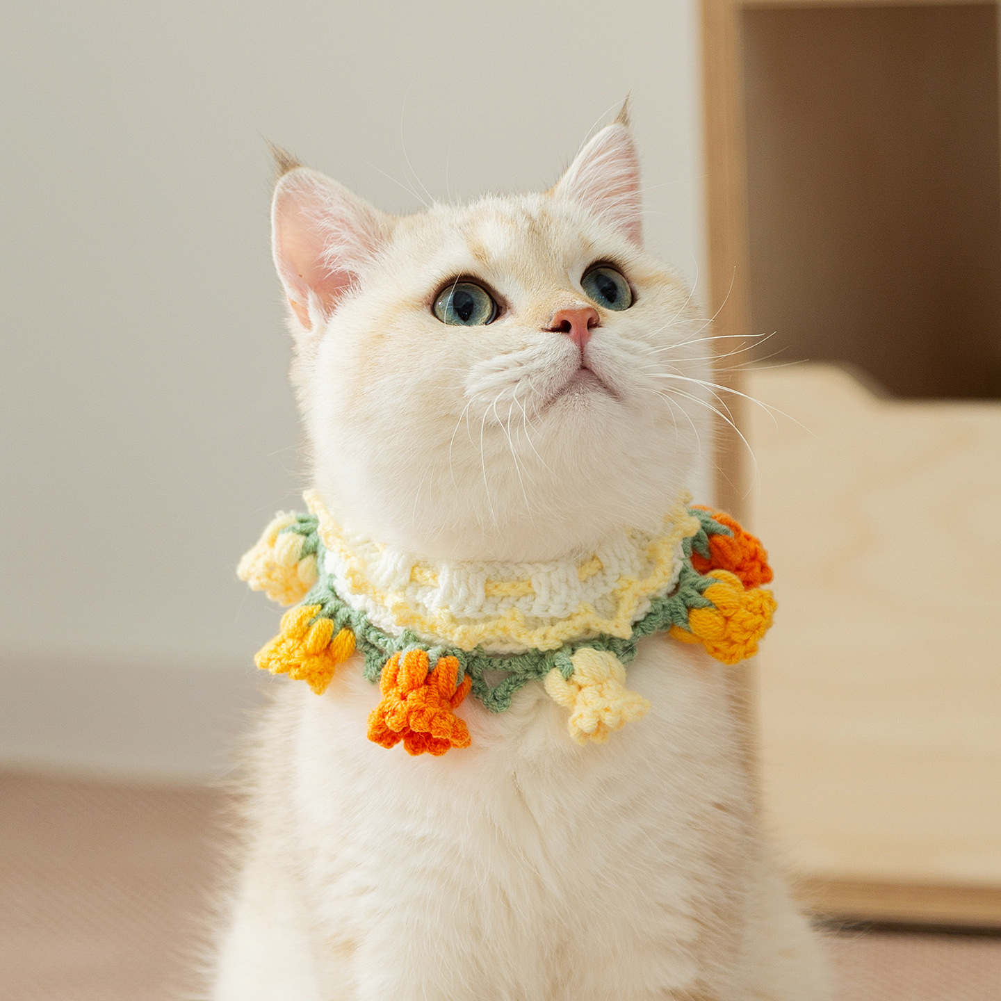 Cute Pet Collar & Scarf - Hand-Knitted Necklace Accessories for Cats & Small Dogs-Aimyel