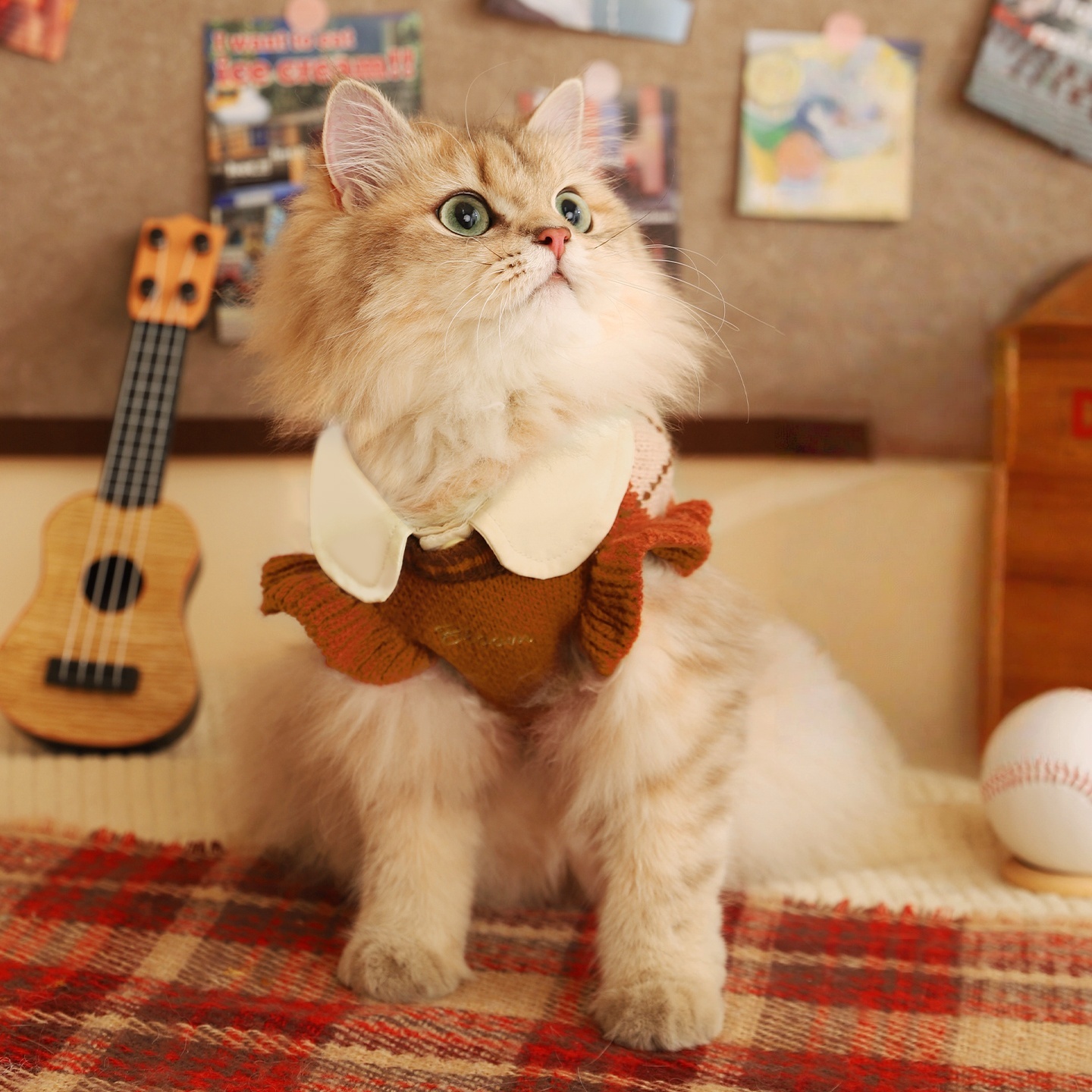 Argyle Preppy Pet Sweater - Hair-Friendly Warm for Ragdoll, Cats & Dogs (Spring & Autumn)-Aimyel