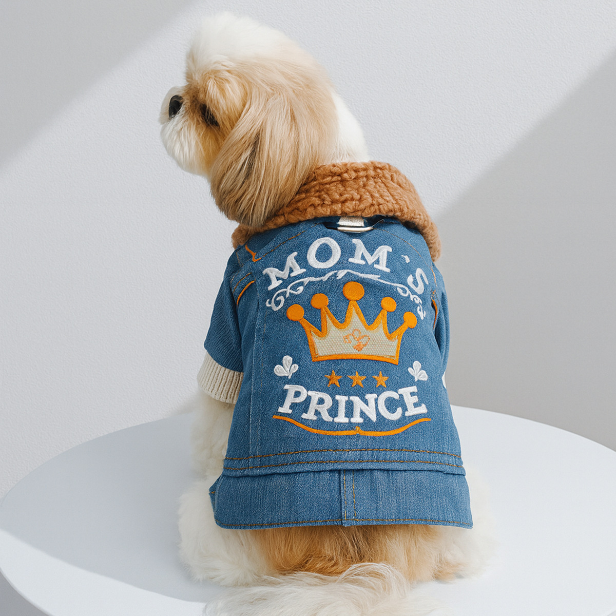 Stylish Pet Leather Coat: Fall/Winter Thickened Fleece-Lined Design, Warm Windproof Wear for Pets