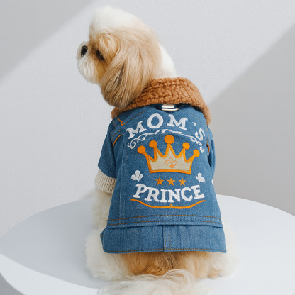 Stylish Pet Leather Coat: Fall/Winter Thickened Fleece-Lined Design, Warm Windproof Wear for Pets