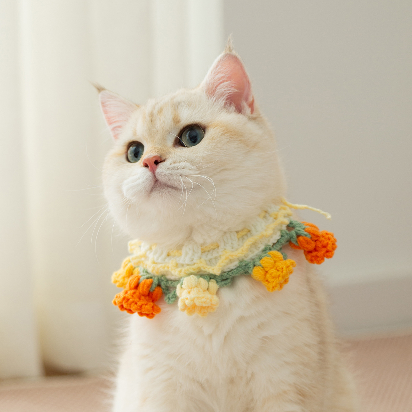 Cute Pet Collar & Scarf - Hand-Knitted Necklace Accessories for Cats & Small Dogs-Aimyel