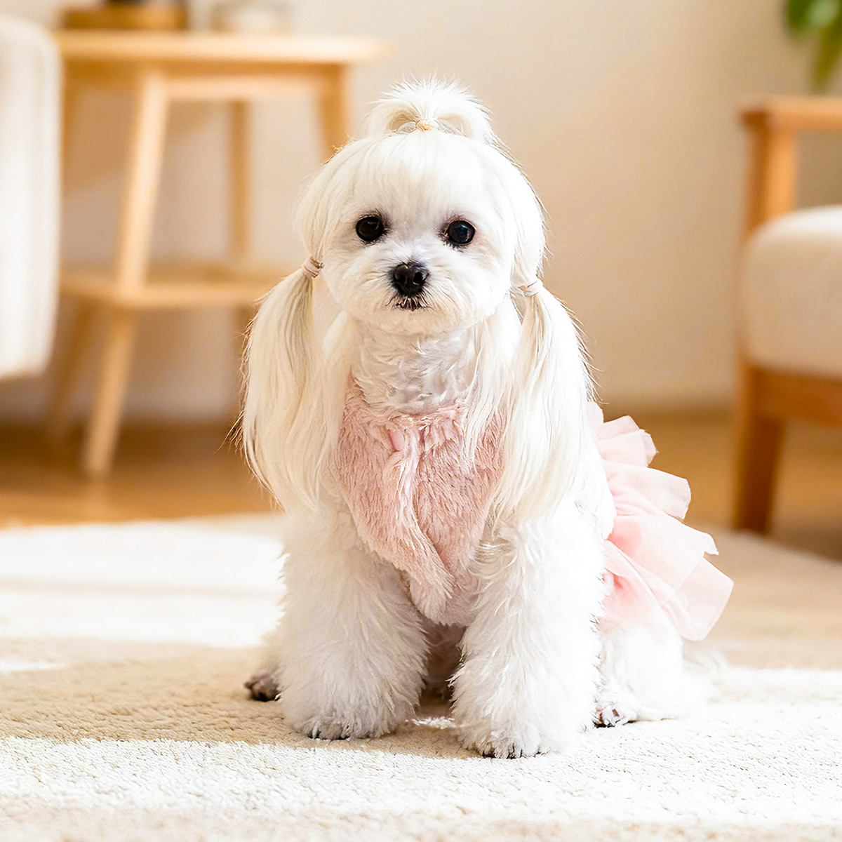 Fall/Winter Pet Skirt - French Chic Tulle Dress, Warm Soft Outfit for Small Dogs, Puppies & Cats
