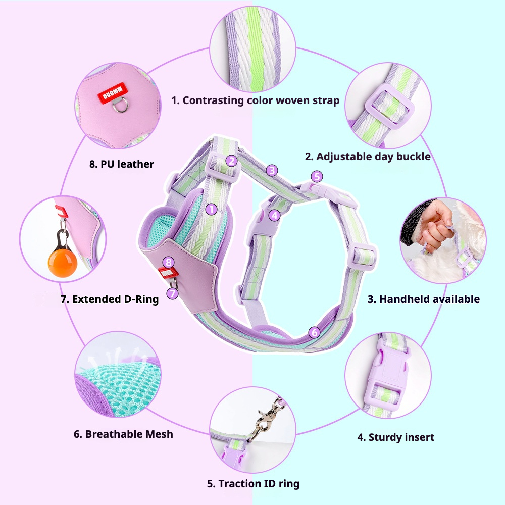 Vibrant Dopamine Pet Set - New Harness & Leash for Small Dogs Outdoor Walking