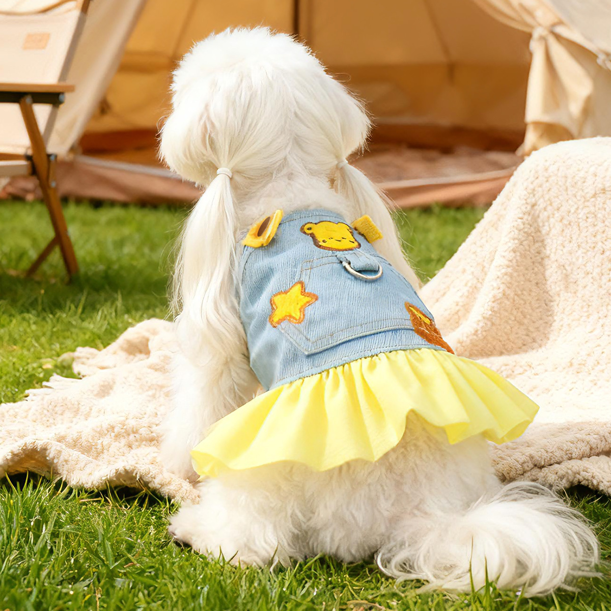 Comfortable Denim Pet Skirt - Star, Bear & Honey Bear Theme for Small Dogs, Puppies & Cats
