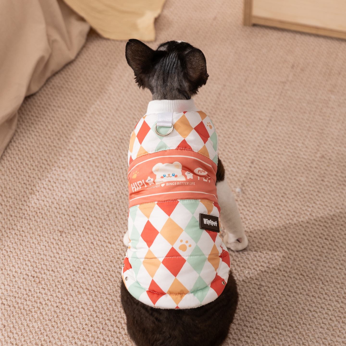 Fall/Winter Warm Pet Outfits: Devon Rex Cat Harness Vest & Small-to-Medium Dog Two-Legged Wear (Cartoon Plaid)-BELLEPAW