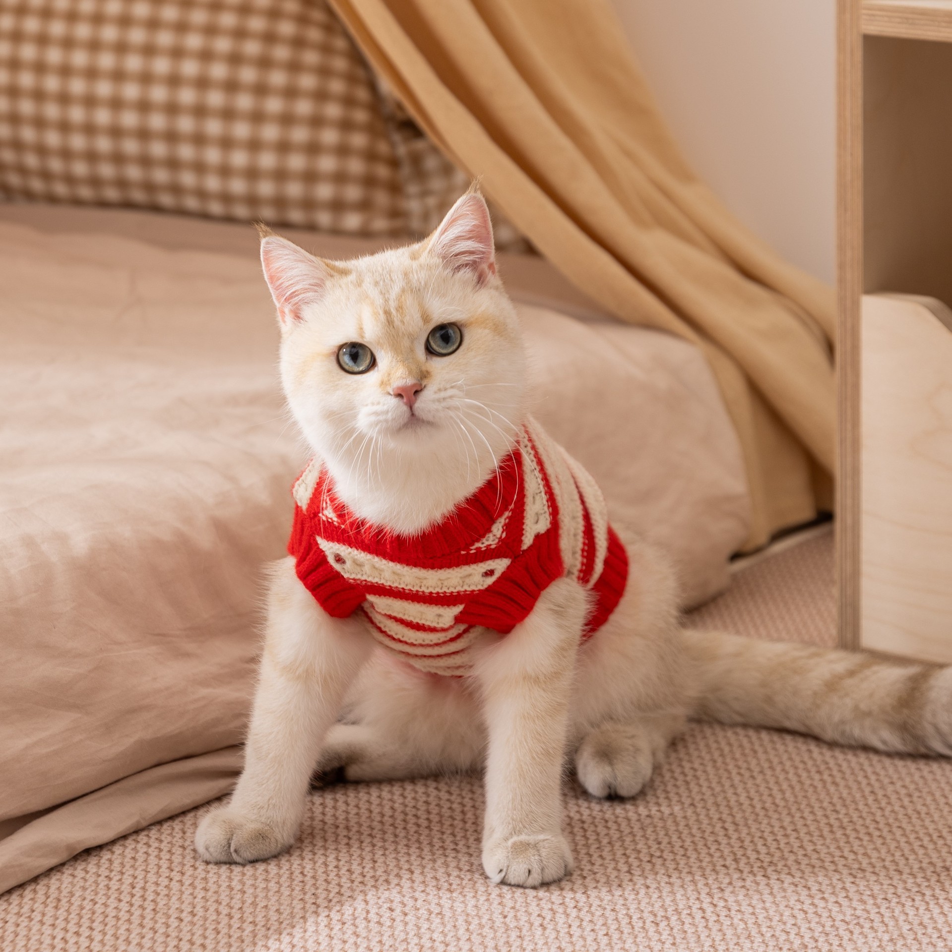 Red Cherry Knitted Sweater - Thickened Warm Two-Legged Pet Clothing for Kittens & Small Cats (Spring & Autumn)-BELLEPAW