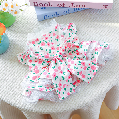 Bellepaw Pet Wizard of Oz Enchanted Dress