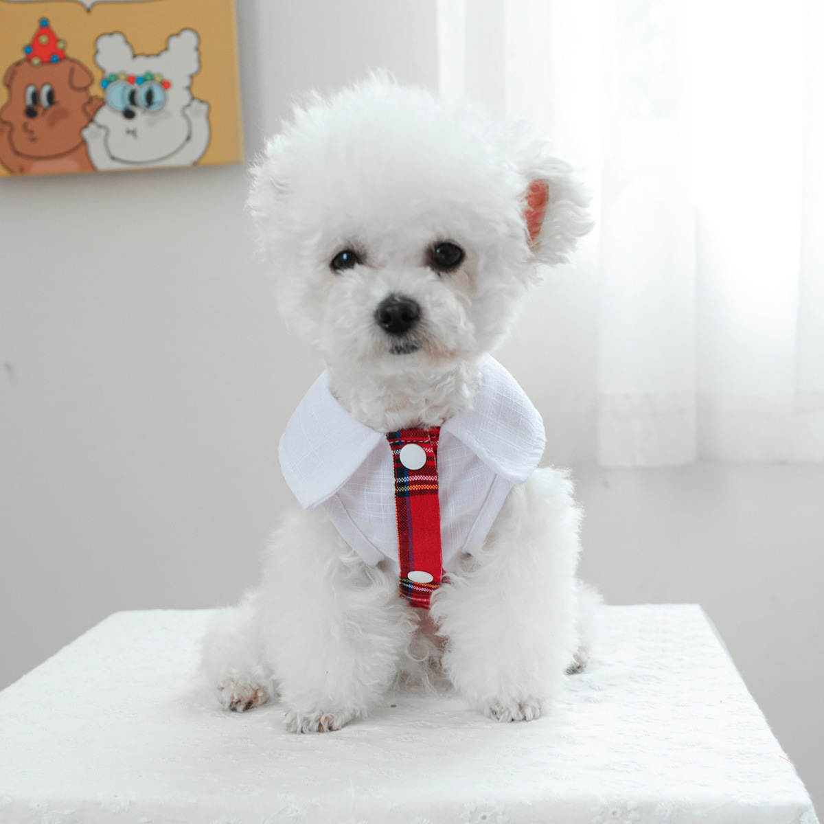 Bellepaw Pet Preppy Red Plaid Academy Dress