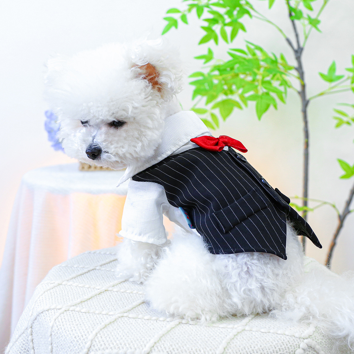 Bow Tie Tailcoat - Black & White