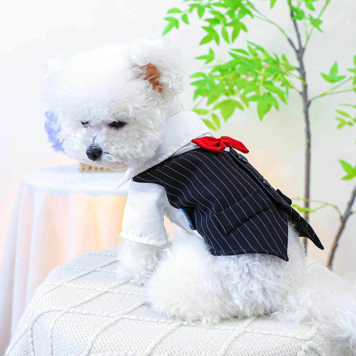 Bow Tie Tailcoat - Black & White