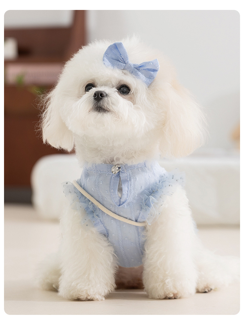 Tranquil Pastoral & Elegant Lady Style - Pet Two-Legged Tank Top with Crossbody Bag for Small/Medium Dogs & Cats-BELLEPAW