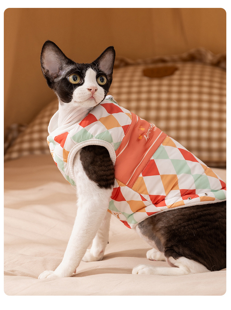 Fall/Winter Warm Pet Outfits: Devon Rex Cat Harness Vest & Small-to-Medium Dog Two-Legged Wear (Cartoon Plaid)-BELLEPAW