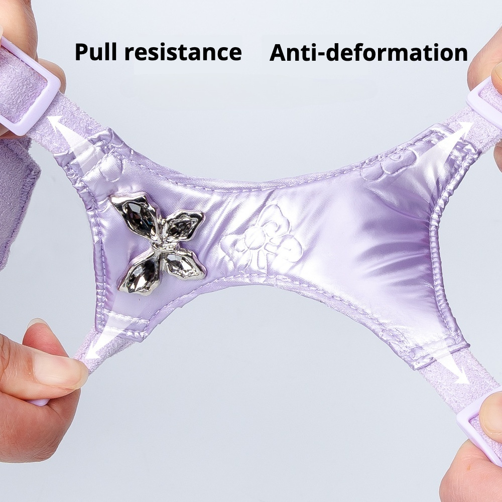 Waterproof Lightweight Dog Harness Leash - No-Pull Vest Set for Outdoor Use