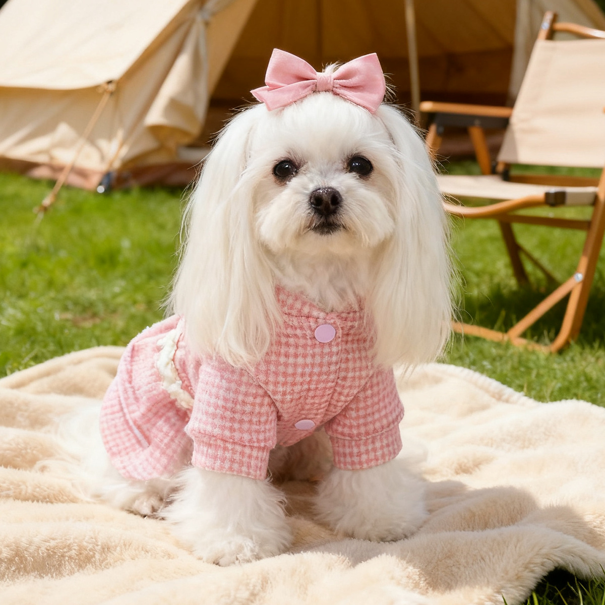 Cute Sweet Princess Dress - Casual Chic Holiday Pet Outfit for Dogs & Cats