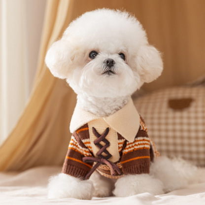 Color-Block Striped Pet Polo Sweater - Knitted for Small Dogs (Bichon & Teddy)