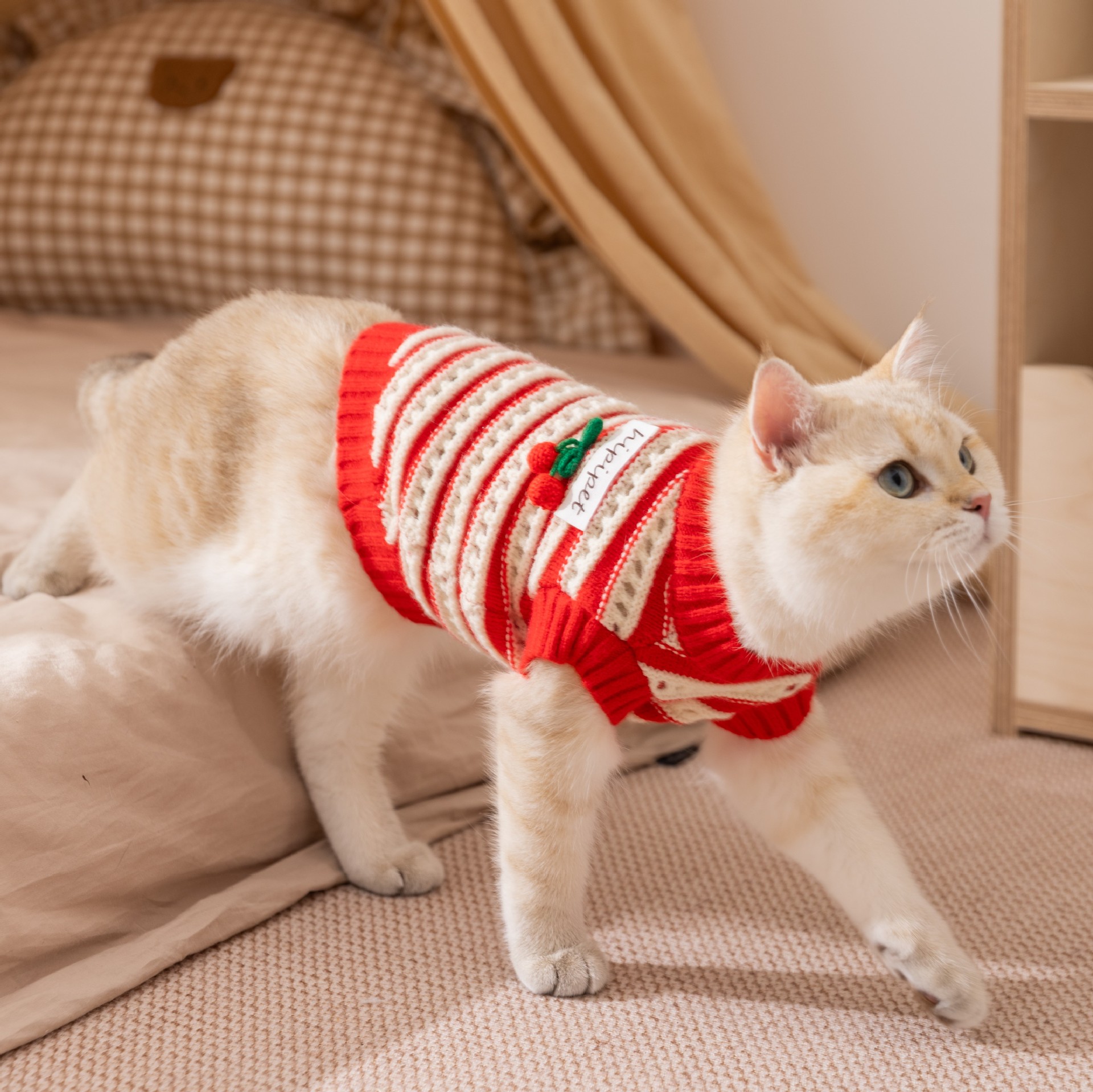 Red Cherry Knitted Sweater - Thickened Warm Two-Legged Pet Clothing for Kittens & Small Cats (Spring & Autumn)-BELLEPAW