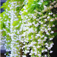 Stop wasting money on expensive home fragrances; what you need is this multiflora jasmine, hailed as "God's perfume."