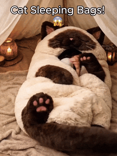 Snuggle into a giant cat hug 🐱Soft as a cloud, cozy as a kitten ☁️Adult cat plush sleeping bag❄️Lock in warmth, block the cold🧸Plush companionship for adults