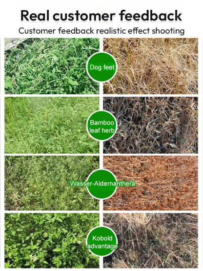 Get 6 pro-grade root killers for $59—save thousands on tree removal 💰🔥Clear invasive growth fast without backbreaking digging or expensive tools 🛠️✨