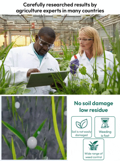 Get 6 pro-grade root killers for $59—save thousands on tree removal 💰🔥Clear invasive growth fast without backbreaking digging or expensive tools 🛠️✨